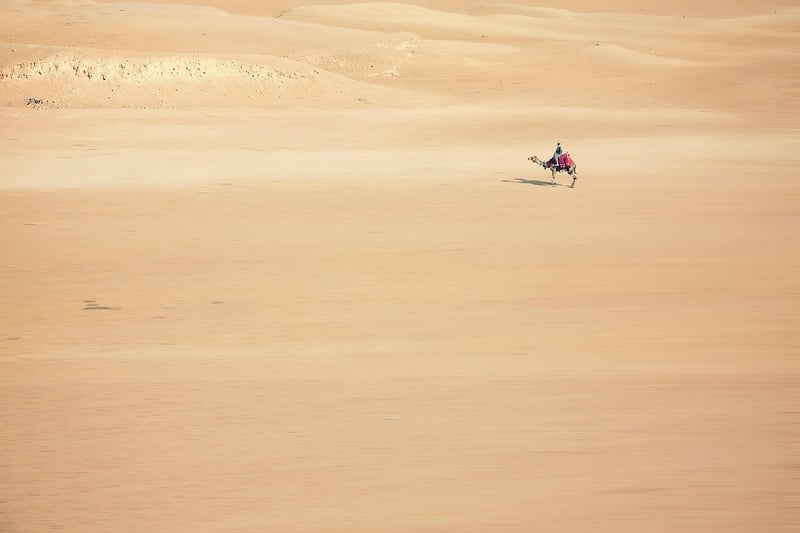 Silk Road Expedition